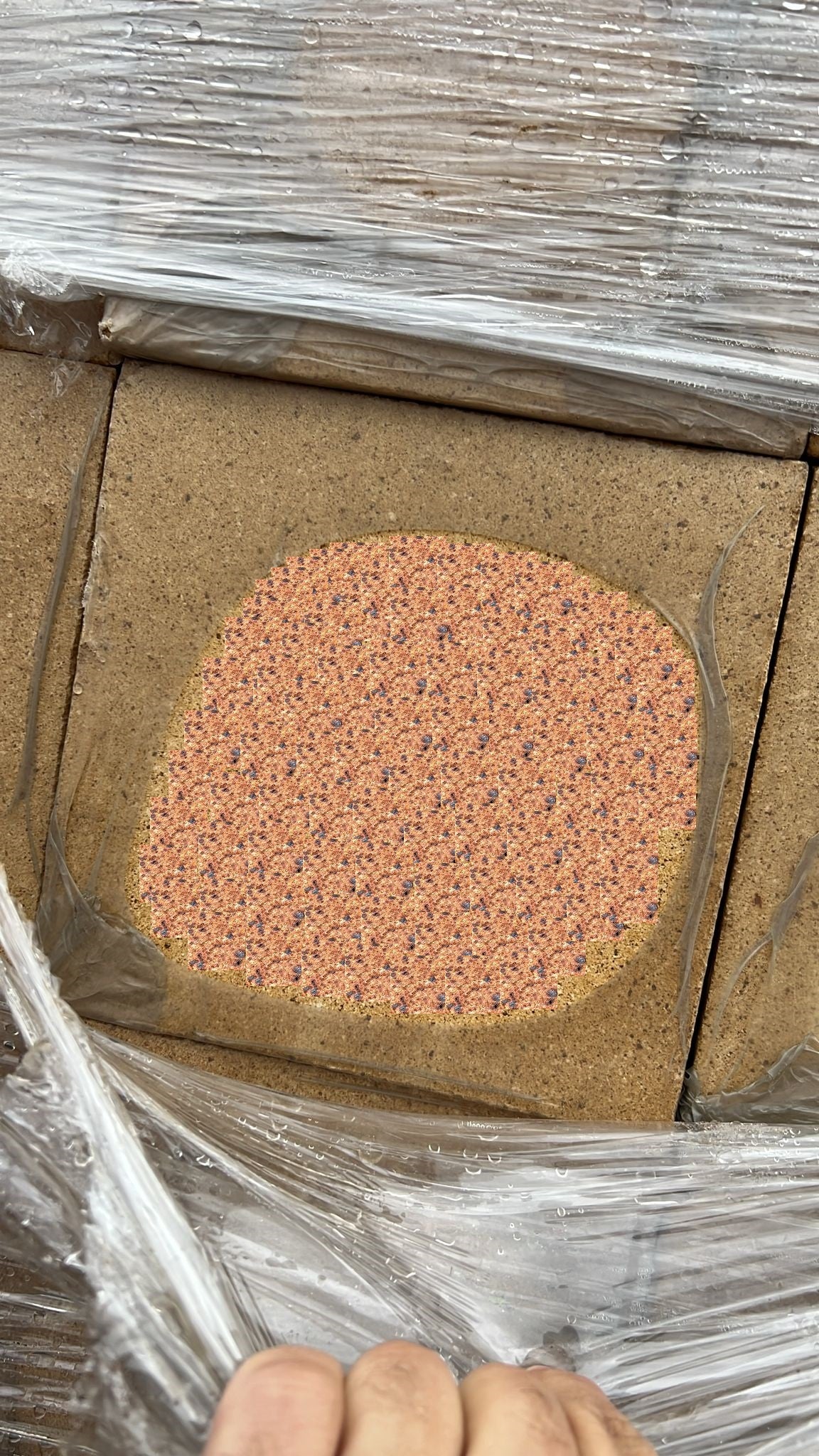 მისაქციელის აგურები